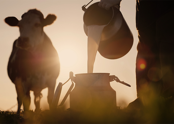Farmer pouring milk into jug